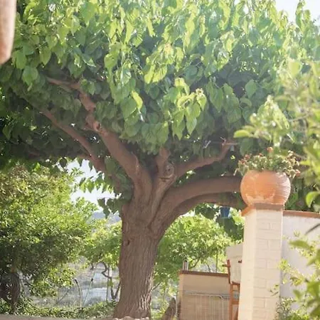 Βίλα Mulberry Tree *